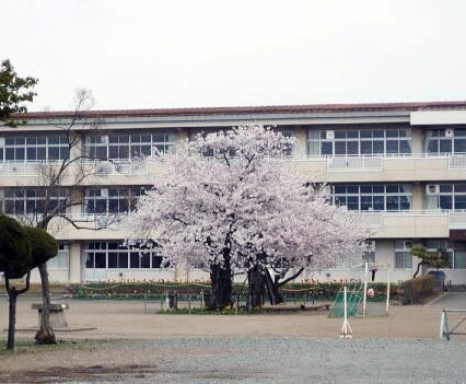 盛岡市立青山小学校距離：1,102m