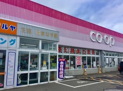 県民生協はまなす館:徒歩17分