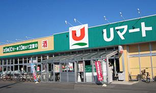 ユニバースUマート桔梗野店：徒歩13分