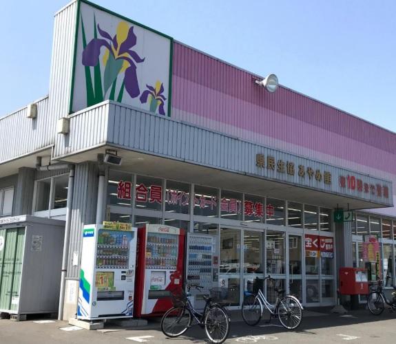 県民生協あやめ館:徒歩13分